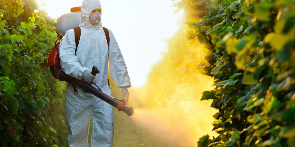 fumigaciones fumigaciones